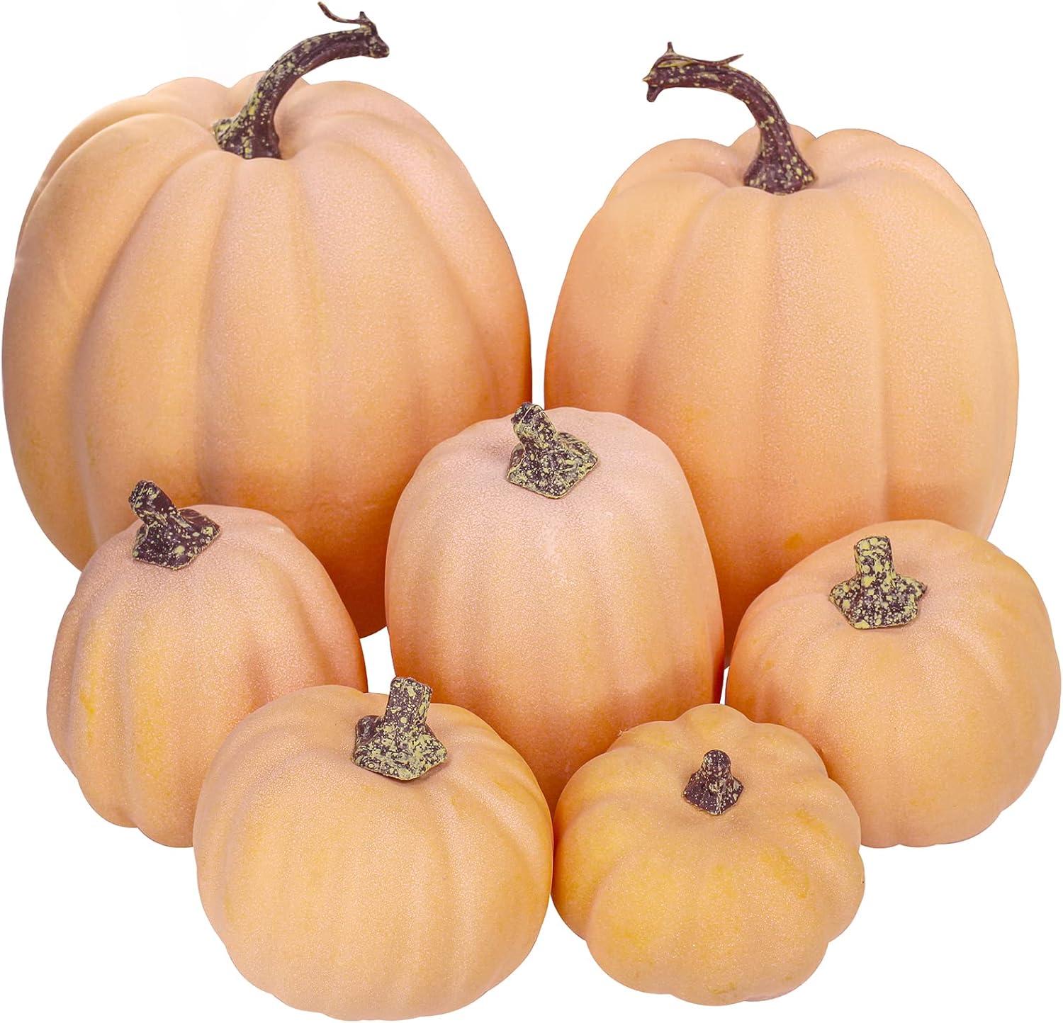 Decorative Versus Edible: The Pumpkin Showdown This Fall