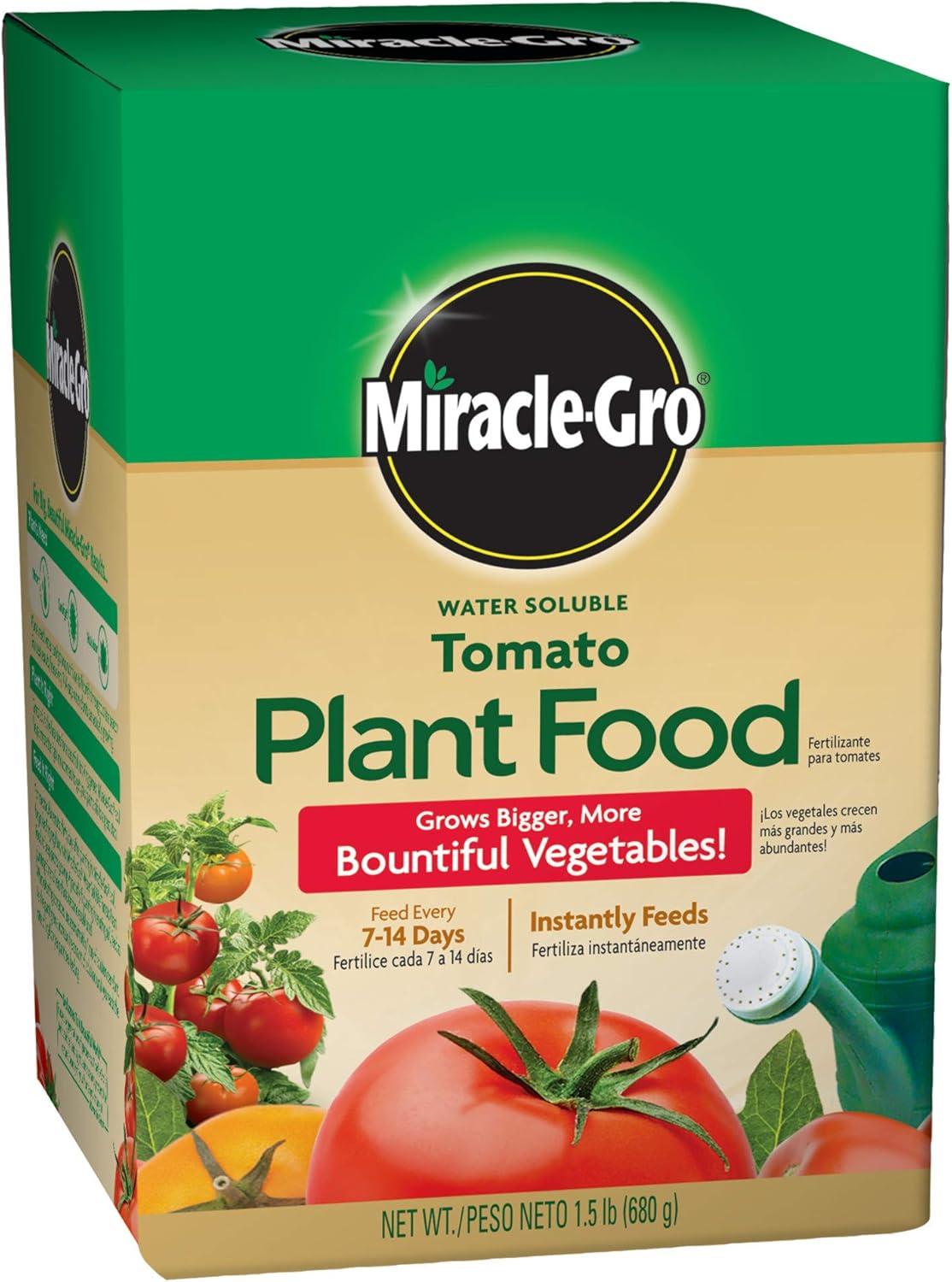 Windowsill Tomato Showdown: Self-Watering vs. Feeding vs. Support