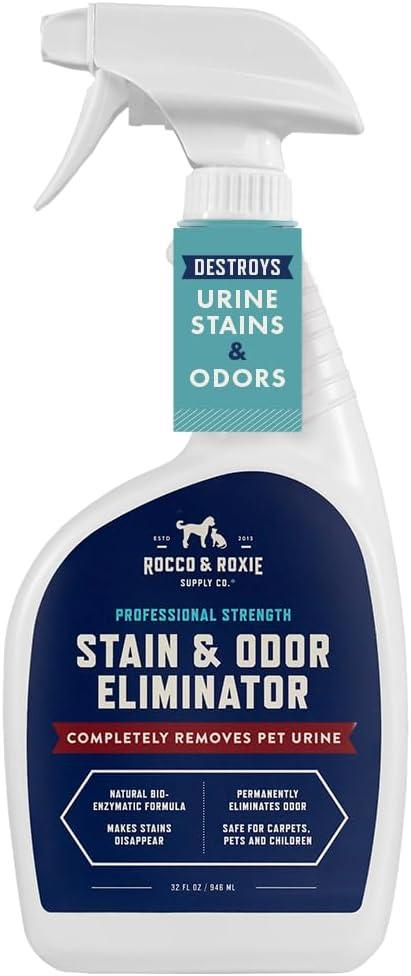 Pet Odor Eliminators Showdown: Citrus, Enzymes, or Gel?