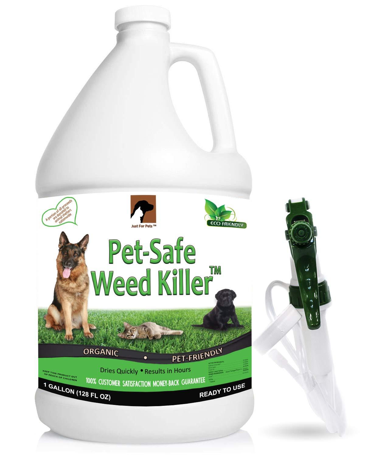 Surprising Weed Killer Showdown: No Glyphosate Wonders