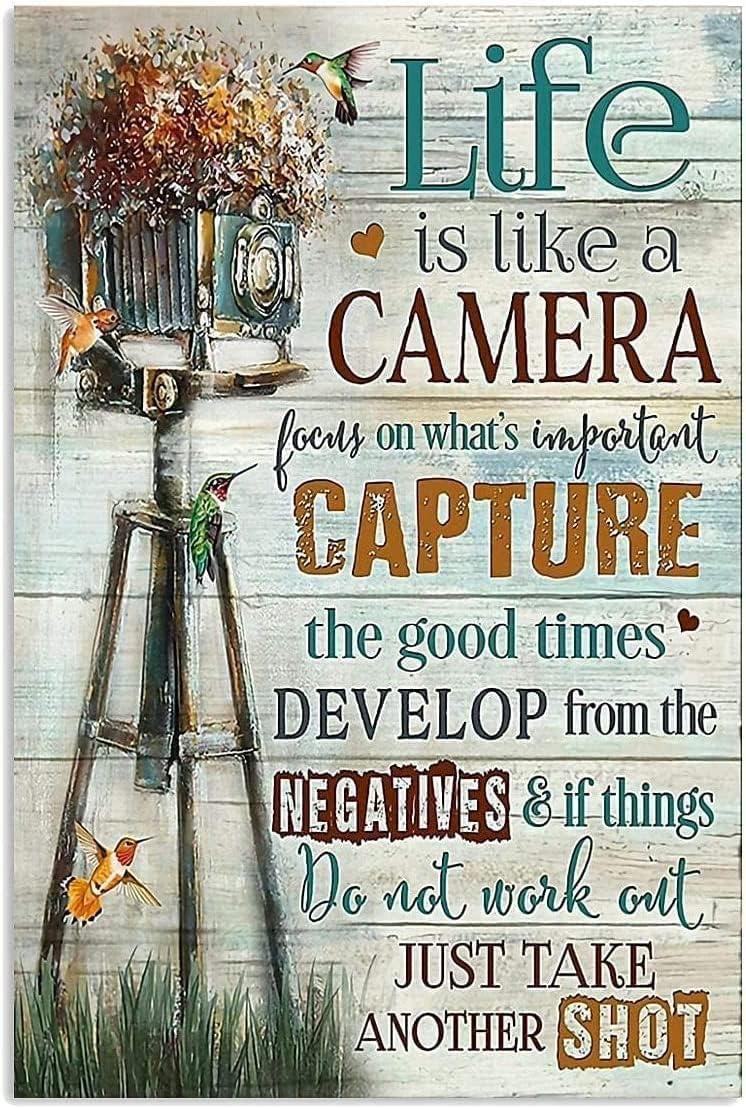 Camera Showdown: Timelapse Tech vs. Vintage Wall Art vs. Security