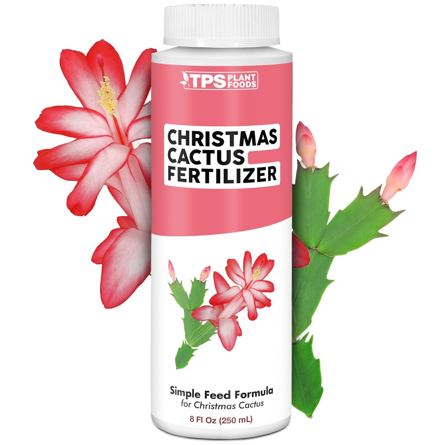Christmas Cactus Fertilizer Showdown: TPS Nutrients vs. Others