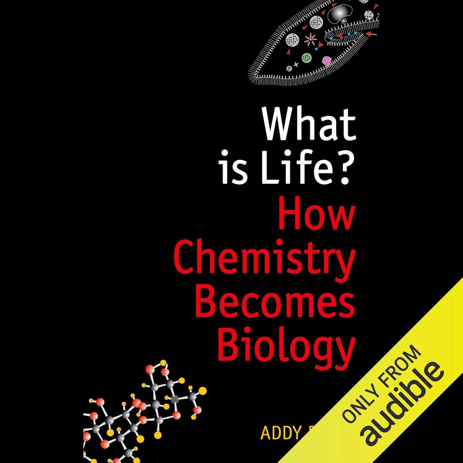 How Chemistry Sparks Life: An Unexpected Exploration
