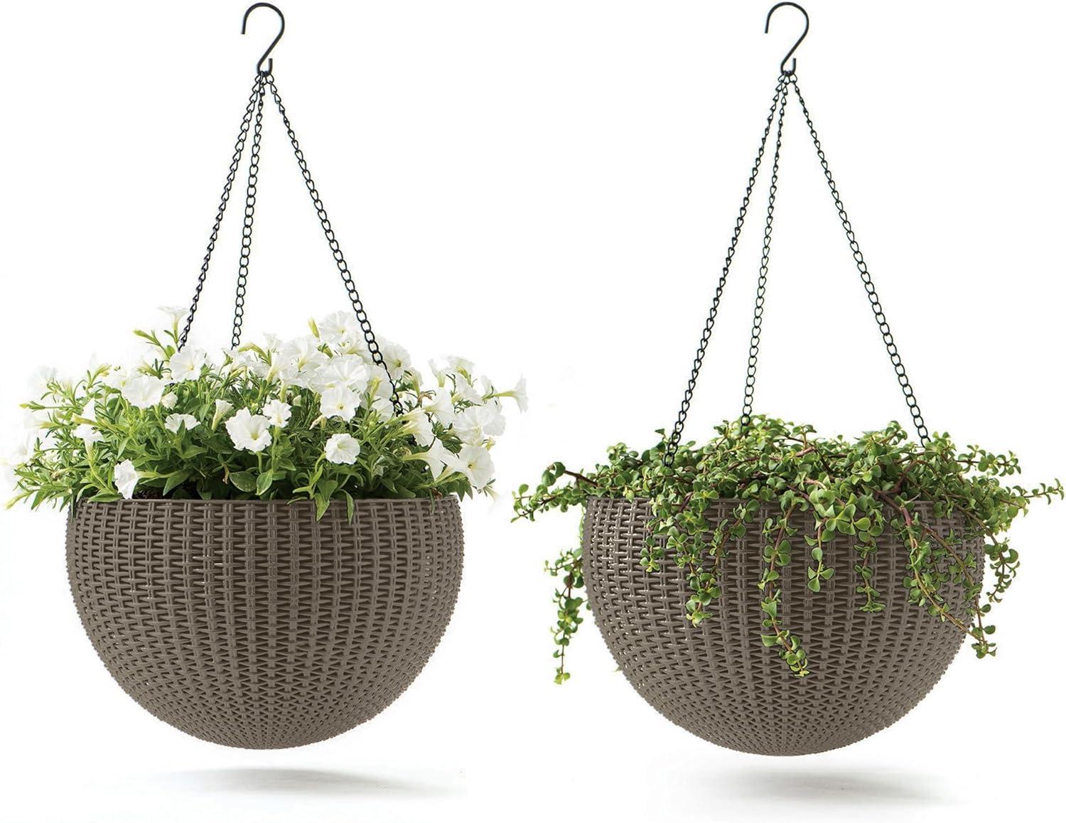 Surprising Showdown: Metal vs. Resin vs. Faux Hanging Planters