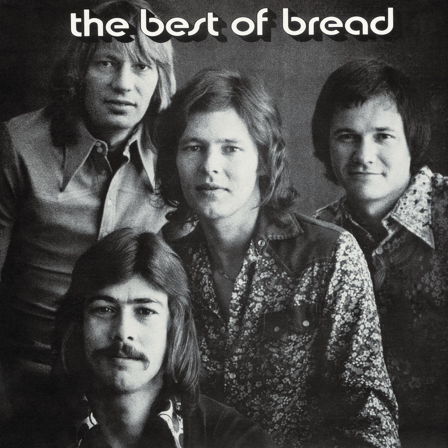 Artisan Loaves Versus Store-Bought: Which Saves Your Dough?