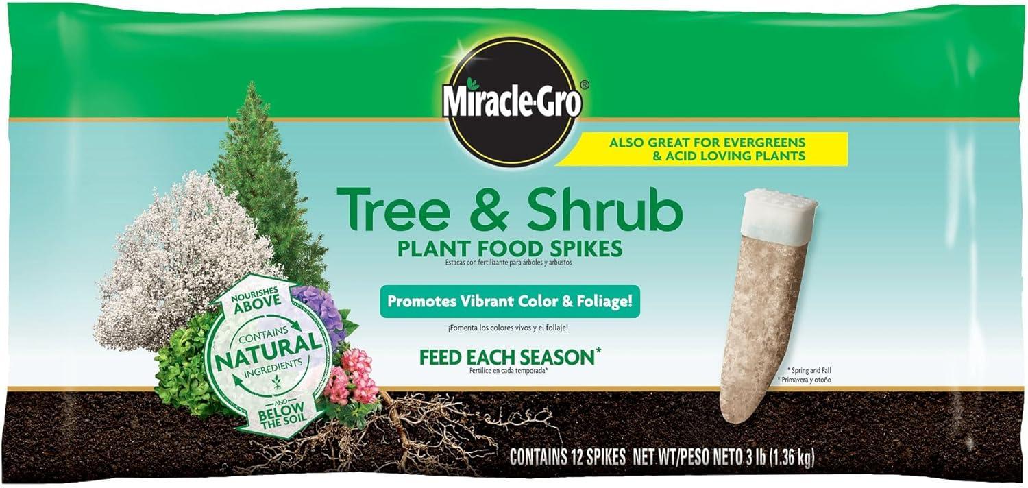 Magnolia Care Showdown: Fertilizers That Transform Blooms!