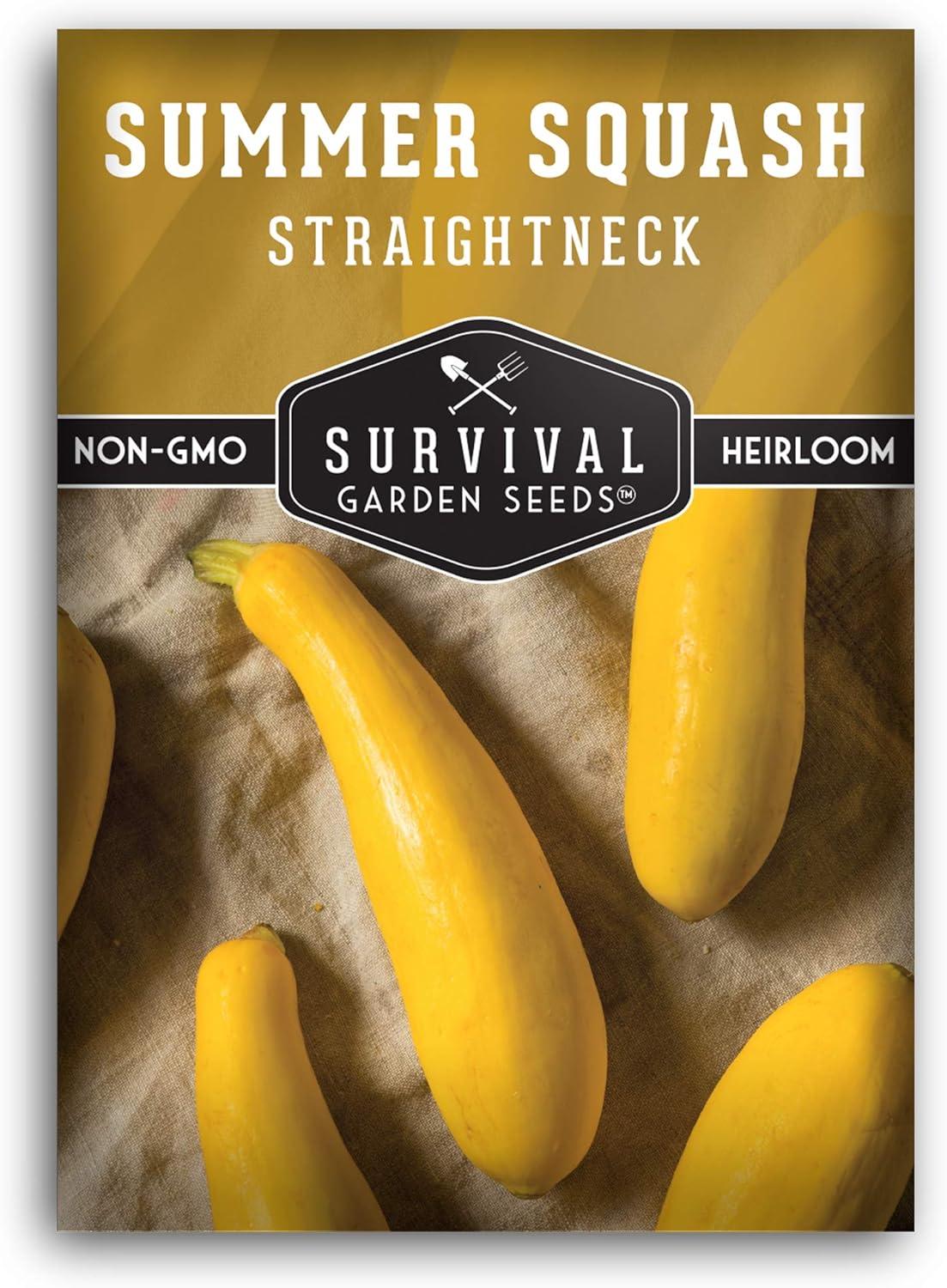 Growing Your Home Oasis: Squash versus Succulents Showdown