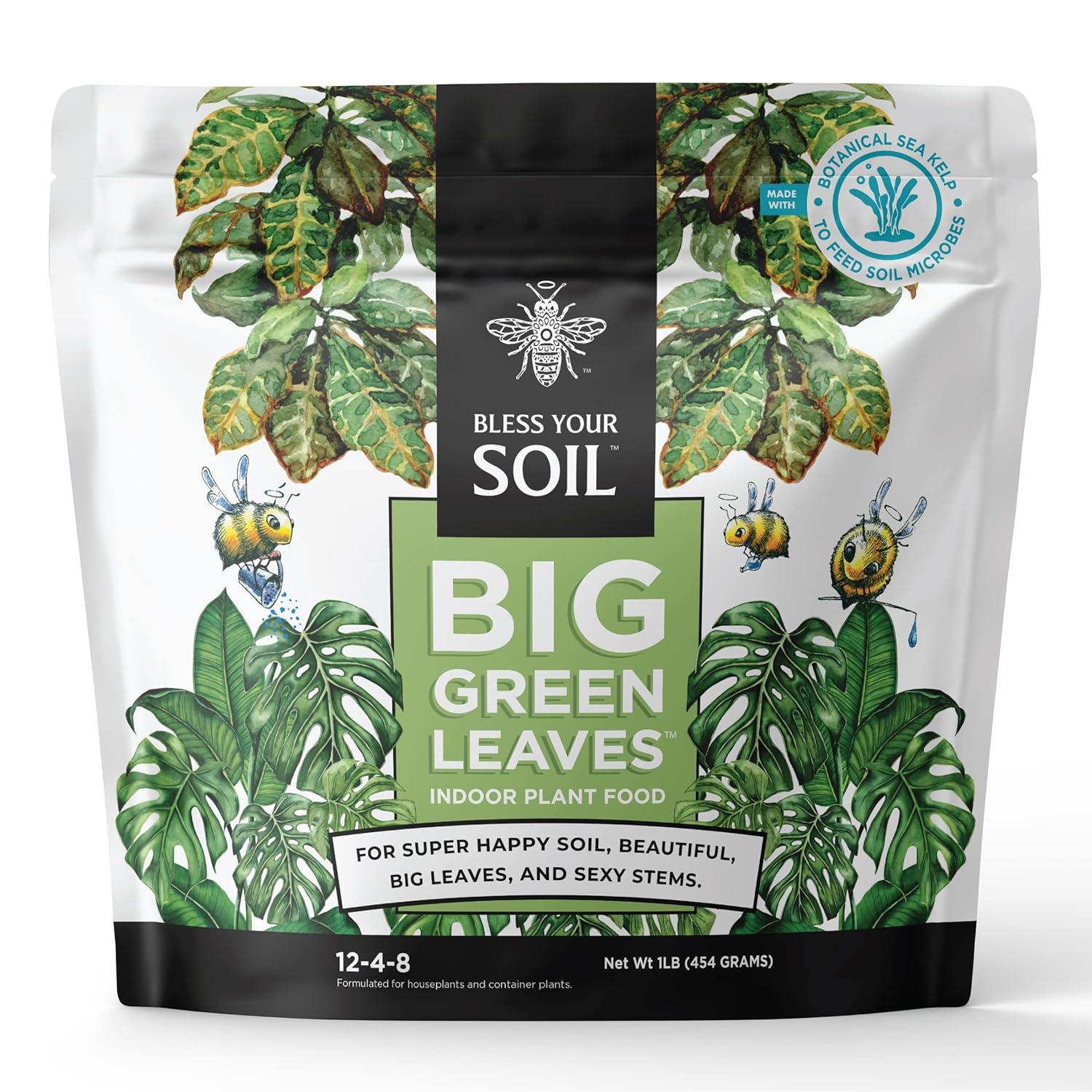 Fertilizer Versus Neem Oil: Which Boosts Plant Health Best?