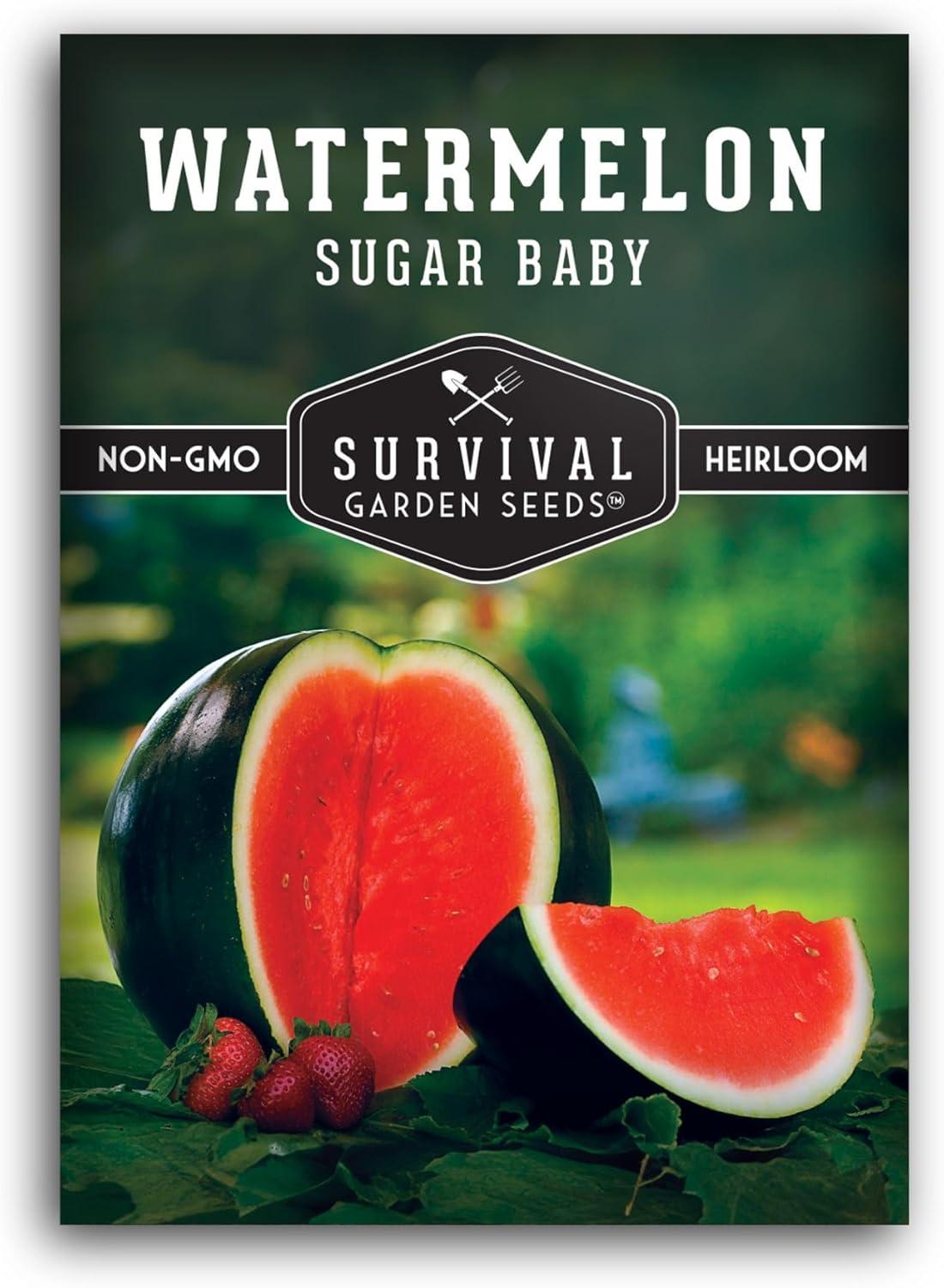 Survival garden seeds: sweet sugar baby watermelon showdown