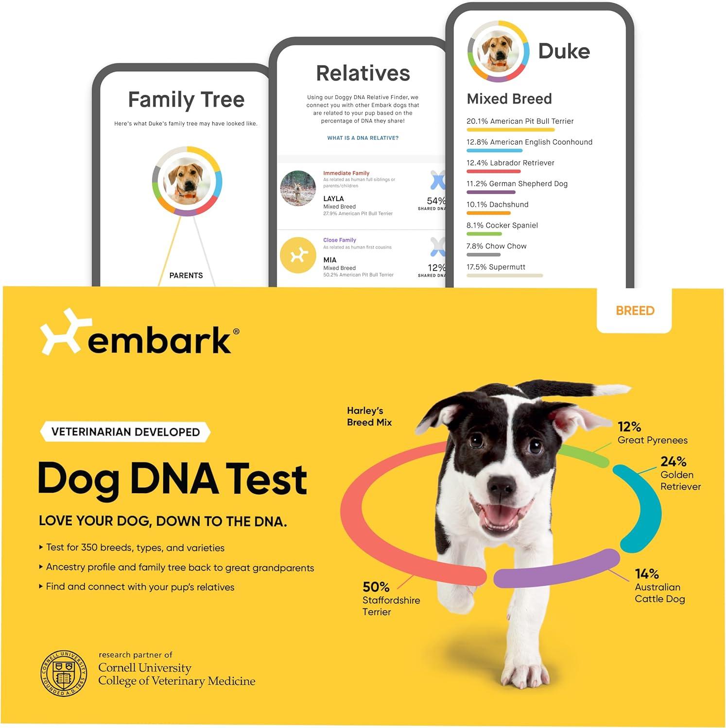 Surprising Showdown: Dog DNA vs. Ancestry Traits vs. Paternity Testing