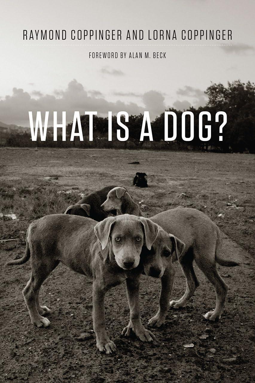 Decoding Dog Behavior: Tested Insights for Pet Owners