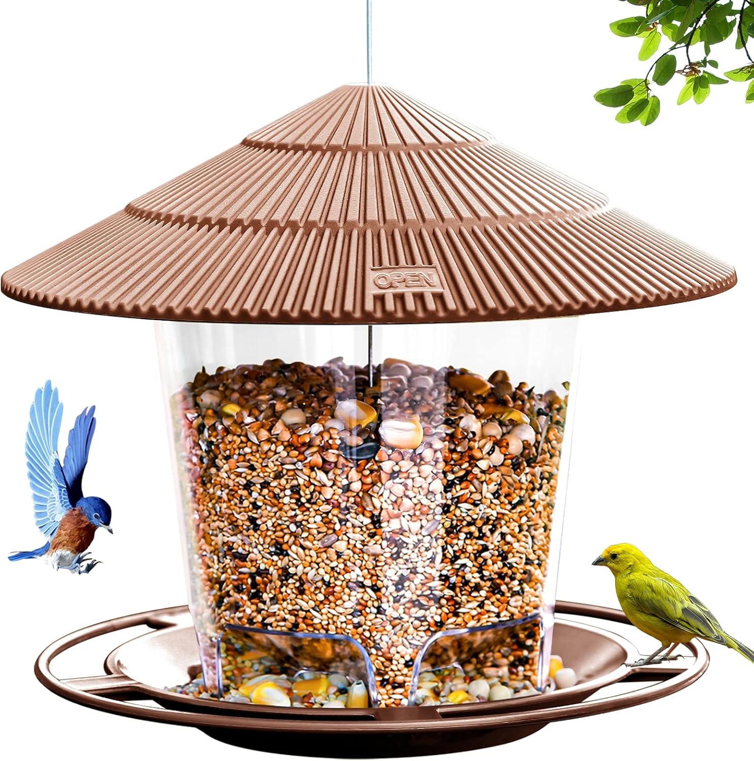 Surprising Bird Feeder Showdown: Tested Choices for Reviewers
