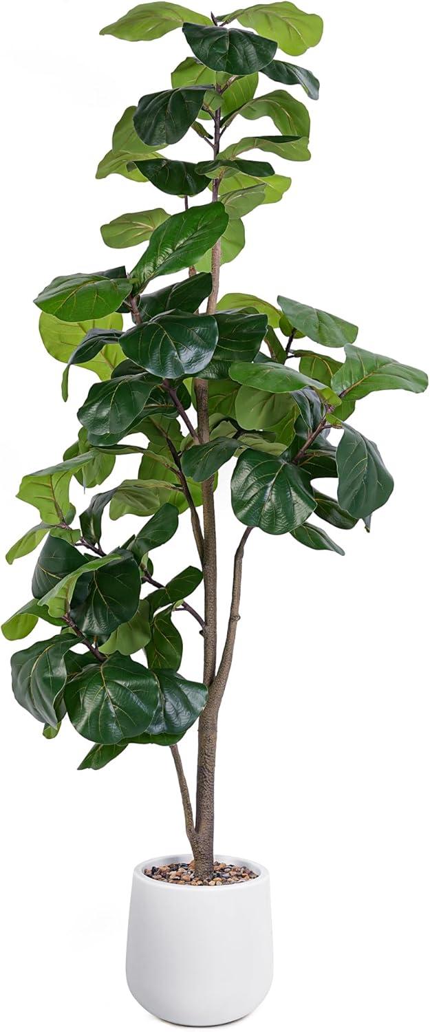 Faux Fiddle Leaf vs. Camellia: Tested Decor Choices