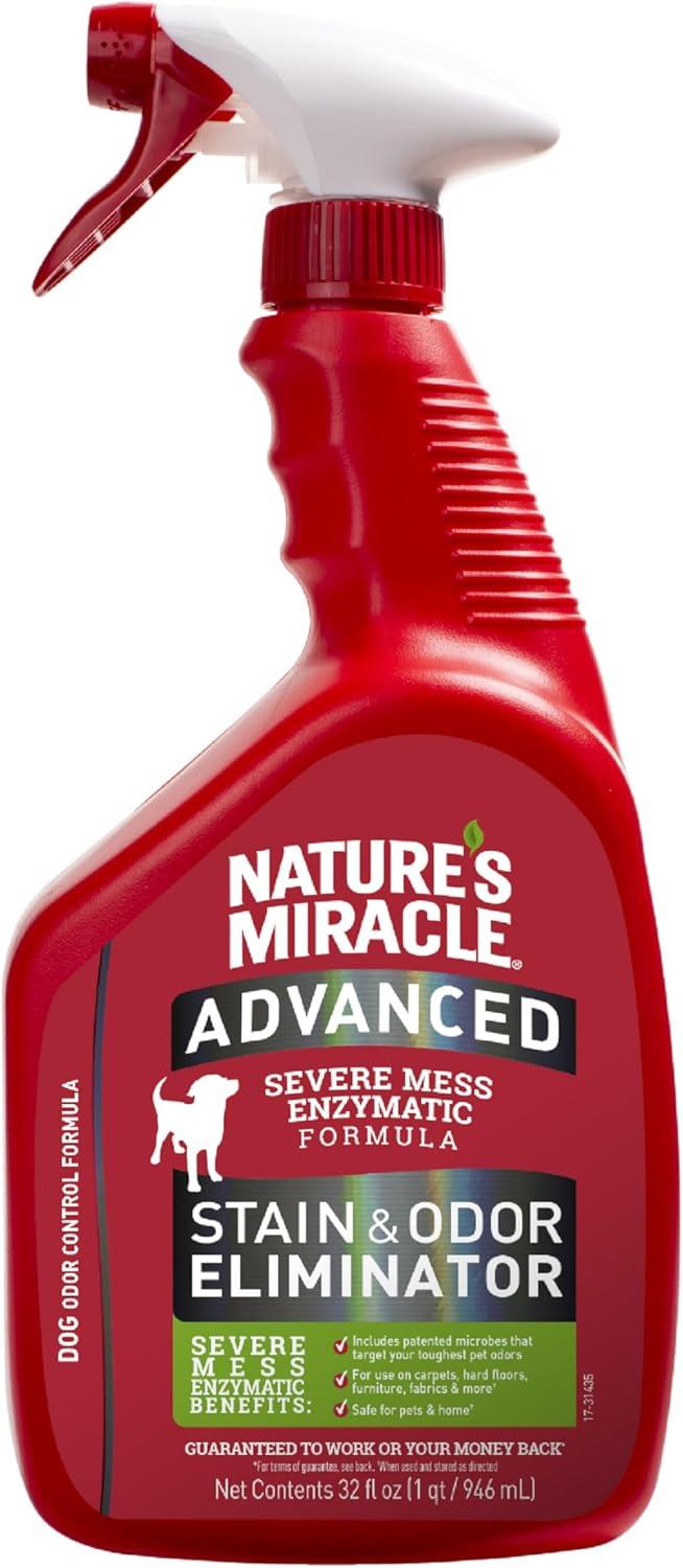 Stain Showdown: Tested Pet Cleaners Fit Seasonal Needs