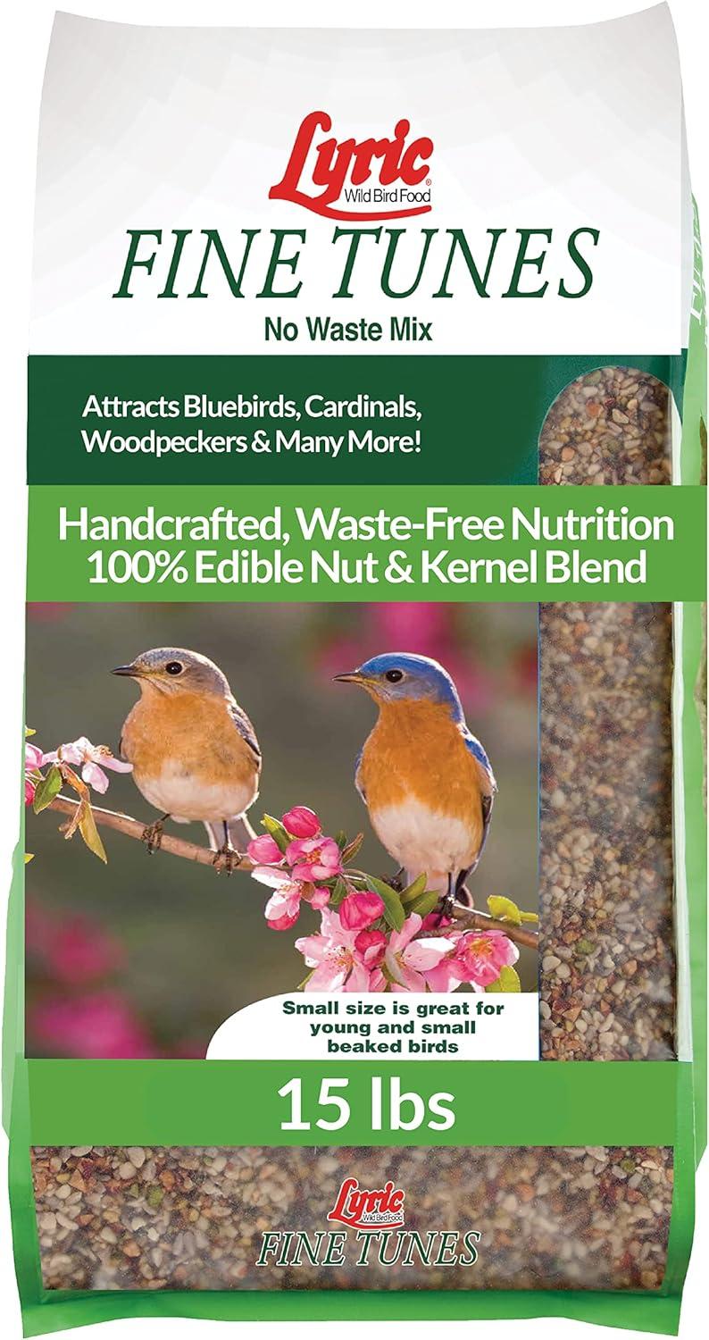 Personalized Names vs. Tested Bird Feeders: A Surprising Gift Showdown