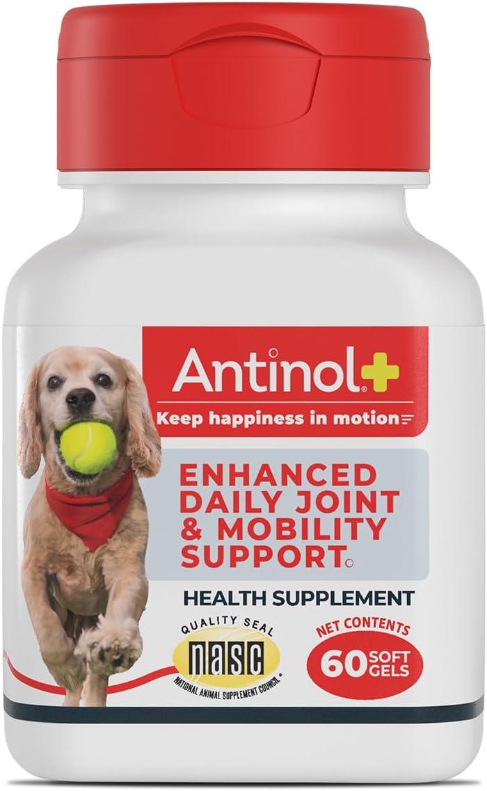 Surprising Krill Versus Glucosamine: Fast Mobility Boosts For Pets