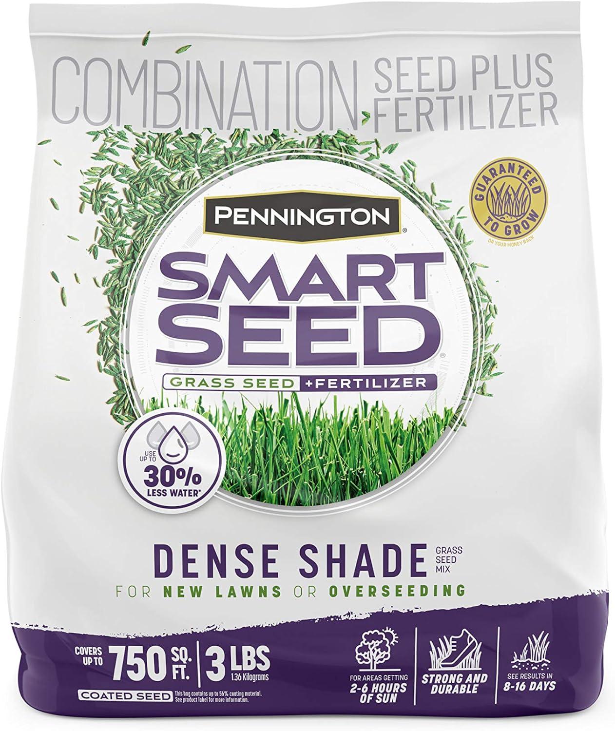 Marigold Seeds Showdown: Tested, Non-GMO, USA Grown... Easy Wins!
