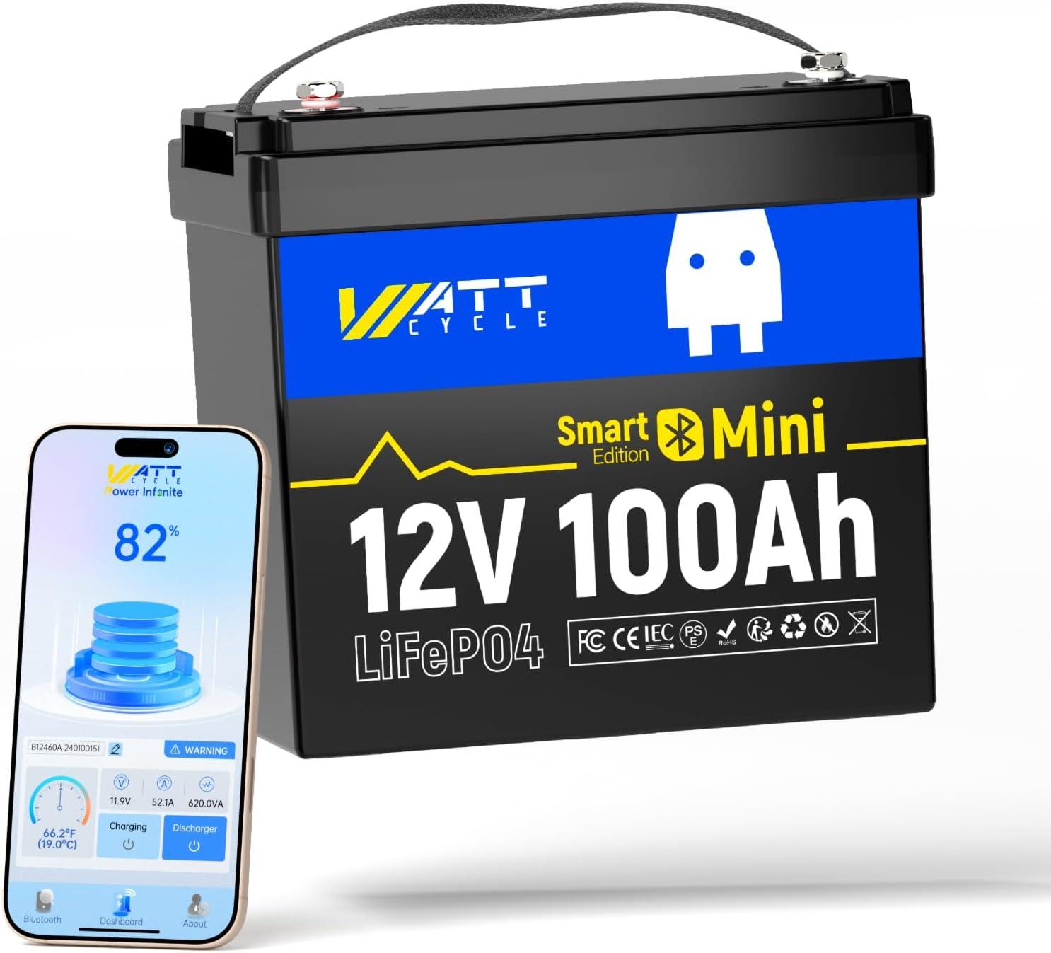 Bluetooth-Connected 12V 100Ah LiFePO4 vs Mini Smart BMS, Surprising Deep Cycle Test