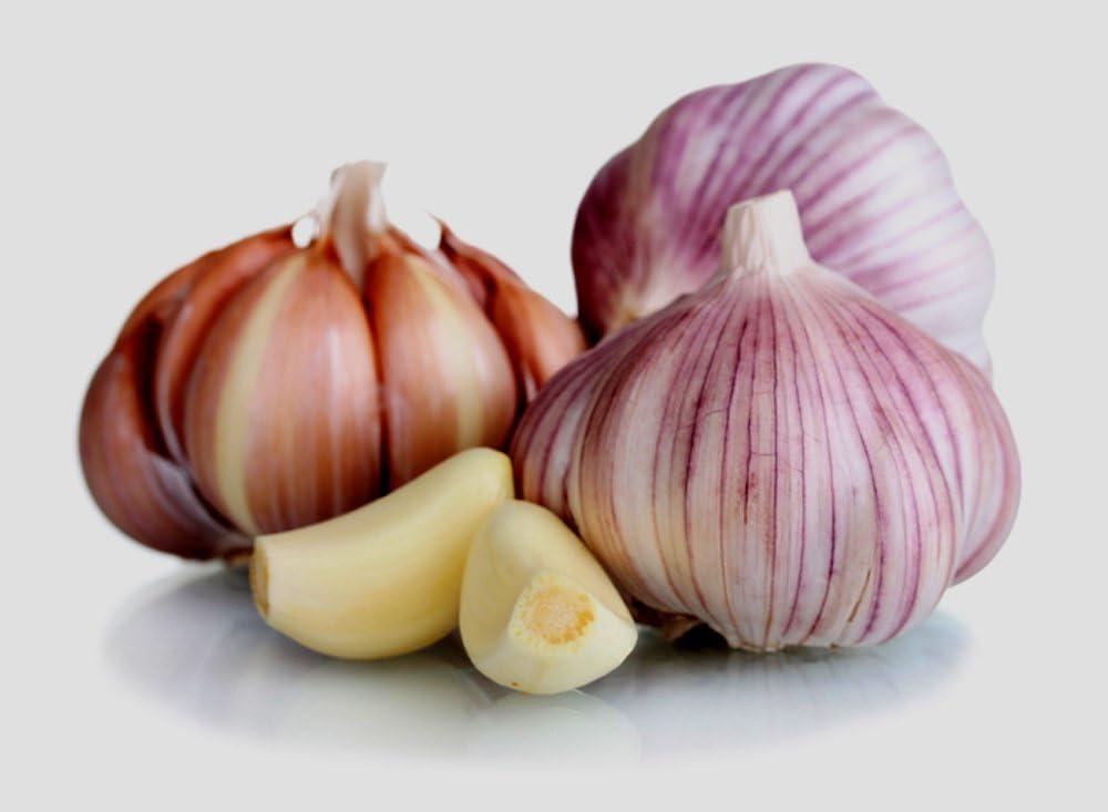 Planting Versus Eating: Tested Garlic Showdown...Hardneck Hit!