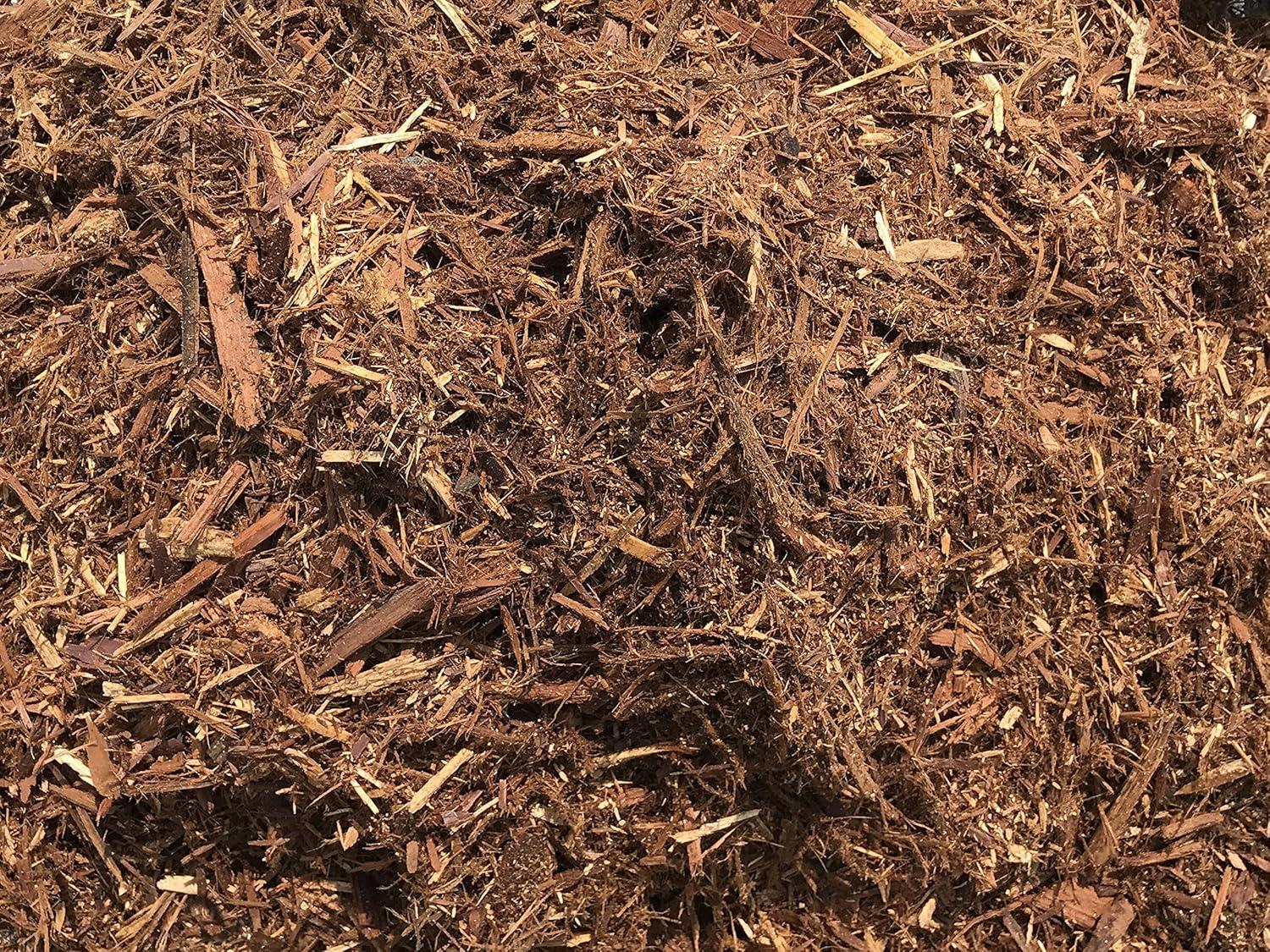 Mulch Showdown: Red vs. Brown - Tested Use Case!