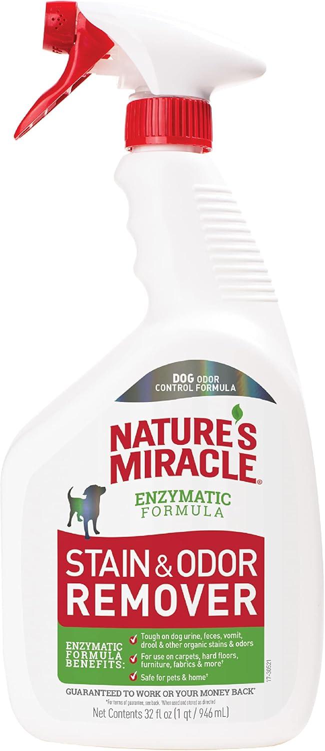 Surprising Showdown: Pet Stain Removers Compared