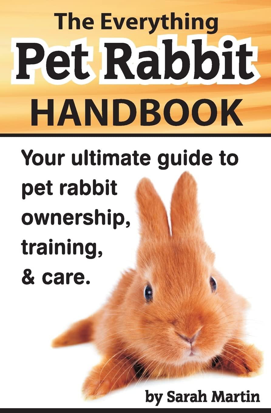 The Rabbit Showdown: Care Guide Versus Surprising Insights