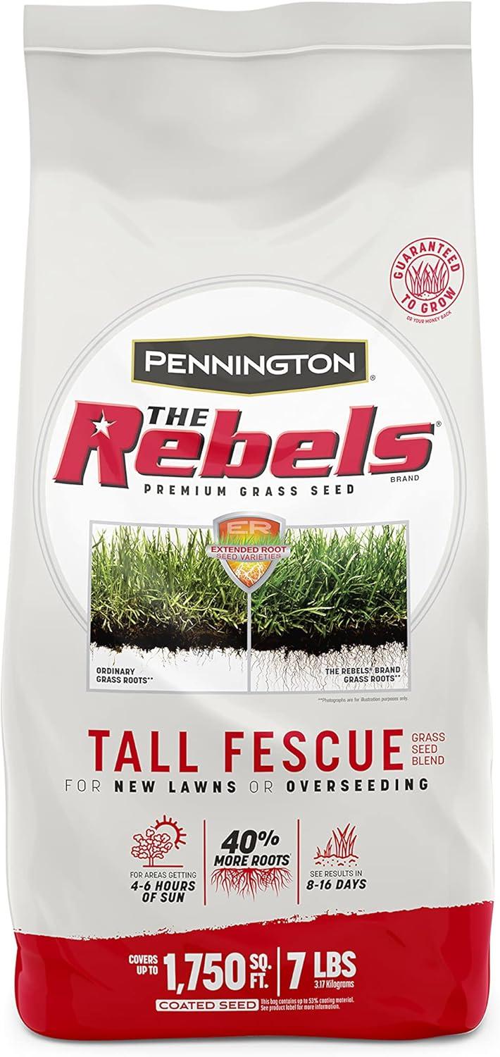 Pennington Rebels Mix: Tough Fescue Versus Usual... Surprising grassroots insight