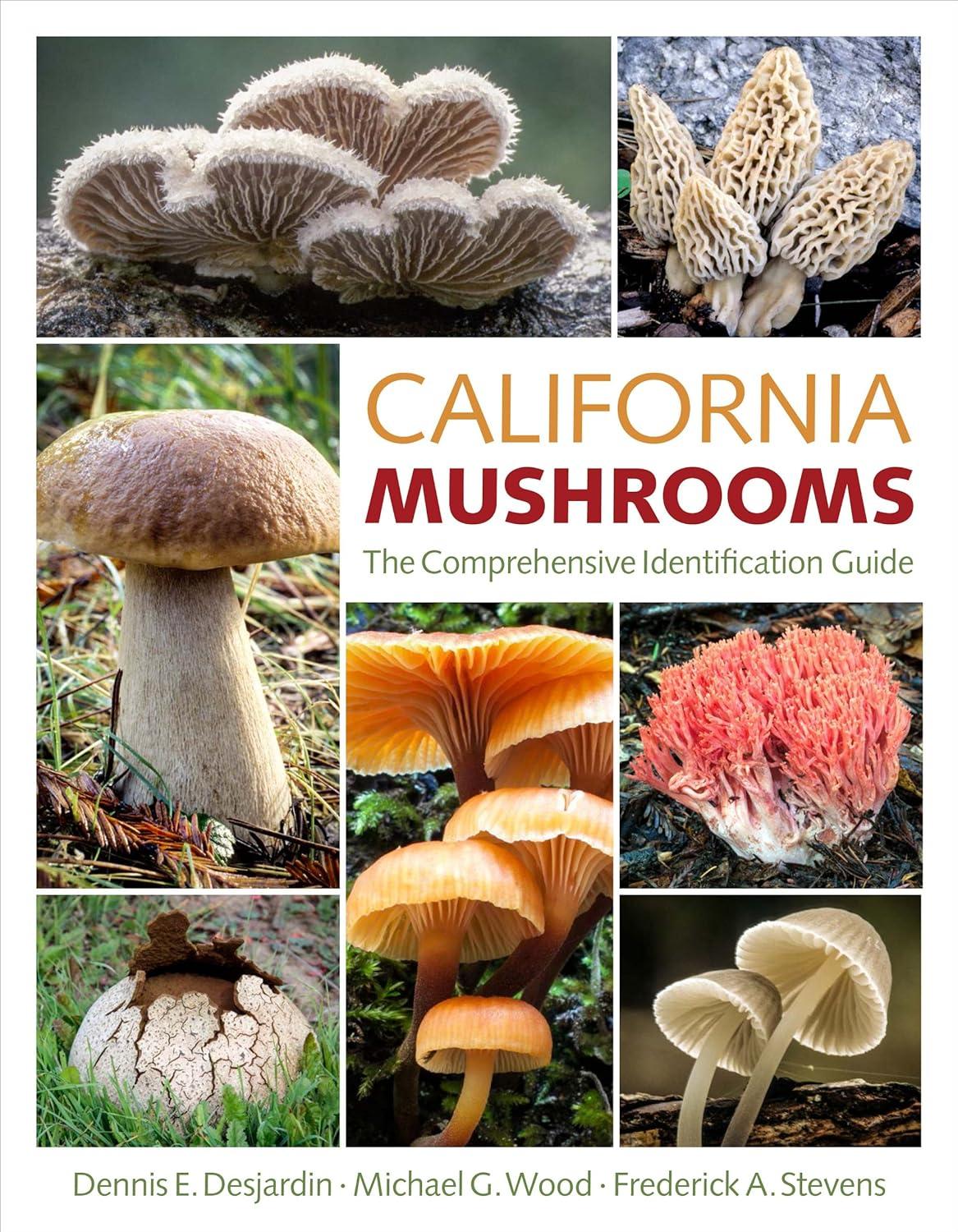 Morel Growing Kit, Guide, T-Shirt Comparison: Tested Backyard Versus Hunted Find