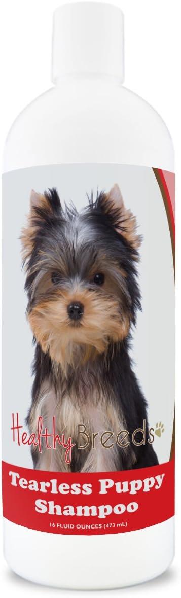 Healthy Breed vs. PetMD vs. Dog Shampoo Showdown... Surprisingly Tearing-Free!