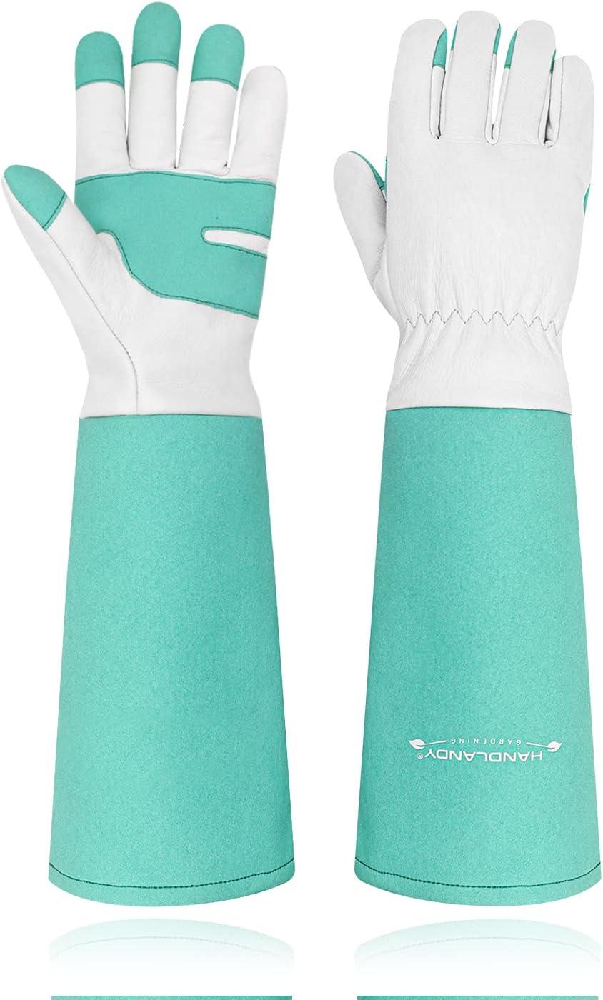 Tested: Handandy Gloves Versuspruning Insight