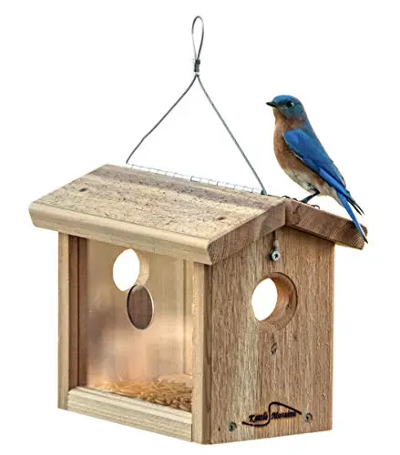 Kettle Moraine Cedar Hanging Bluebird Mealworm Feeder with plexiglass windows