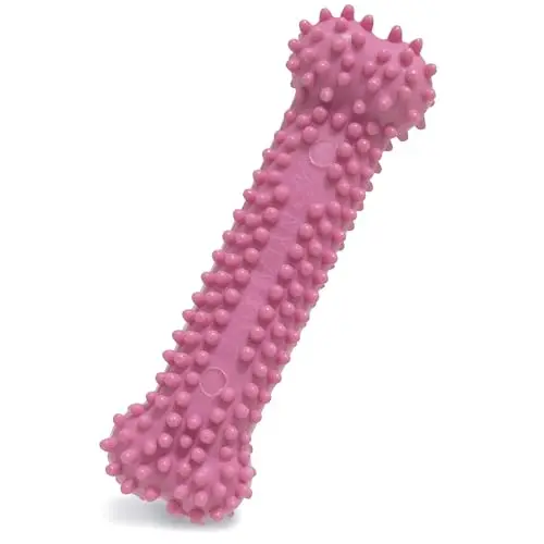 Nylabone pink textured teething bone for puppies