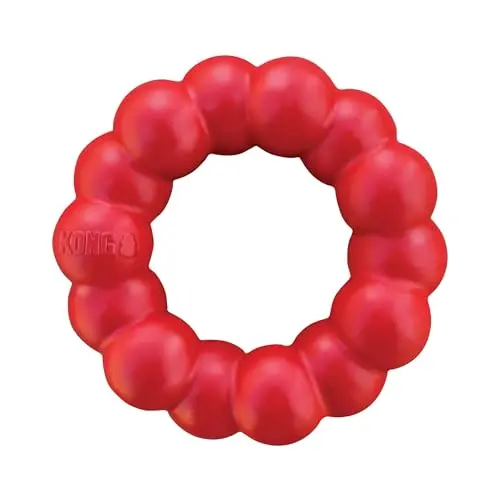 KONG Ring natural rubber chew toy for teething puppies