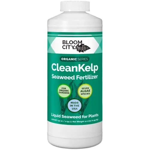 Bloom City Clean Kelp liquid seaweed fertilizer bottle