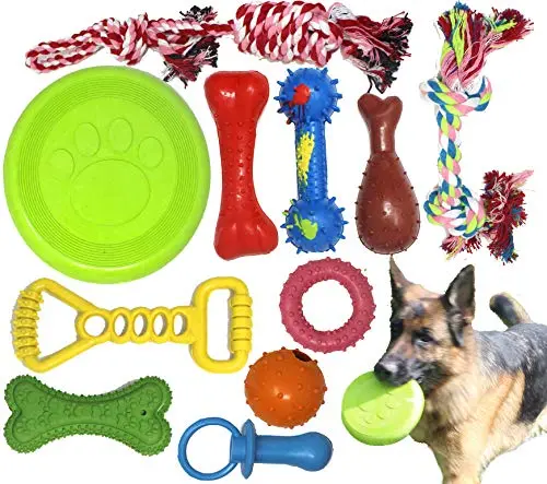 Jalousie 11-piece set of multicolored dog toys including rubber bones, balls, a flying disc, and rope toys.