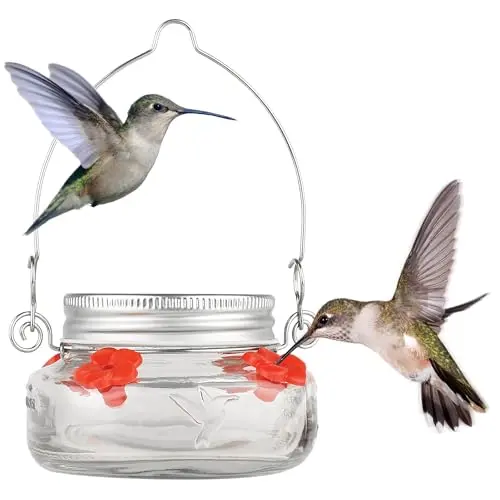 Nature's Way clear mason jar style hummingbird dish feeder