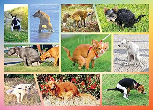 Better Me Pooping Dogs 1000-piece jigsaw puzzle with funny dog illustrations