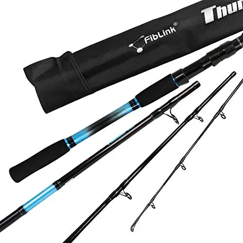 Fiblink blue 4-piece boat fishing travel rod with hard case