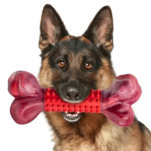 Apasiri red nylon and rubber chew bone toy for aggressive chewers