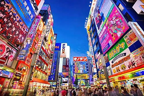 Toynk Evening in Akihabara, Japan 1000-piece jigsaw puzzle image