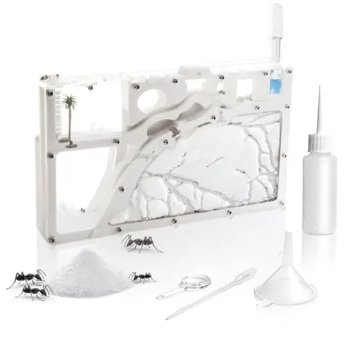 Kahopy Ant Farming Castle showing a double-sided habitat with sand and tools