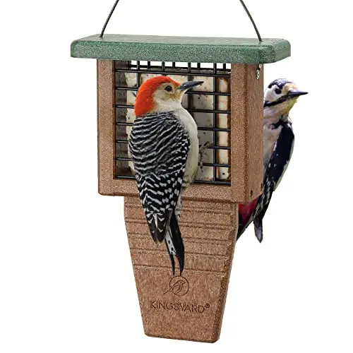 Kingsyard green single suet cage feeder with tail support for birds