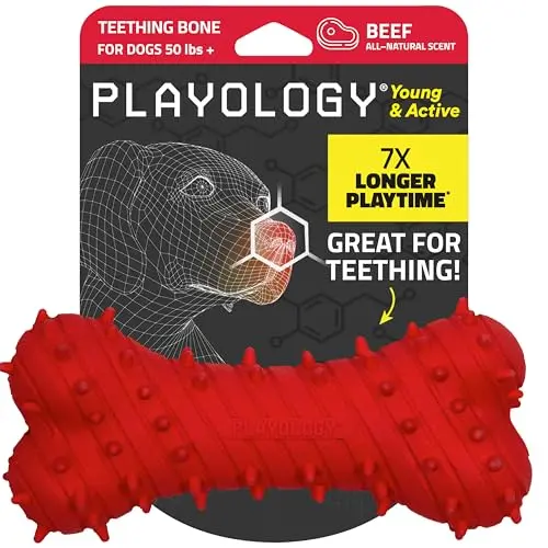 Playology jumbo beef scented puppy teething bone toy