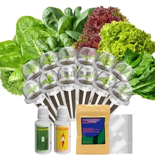 inbloom 12-pod salad greens seed kit with spinach, buttercrunch lettuce, and other varieties