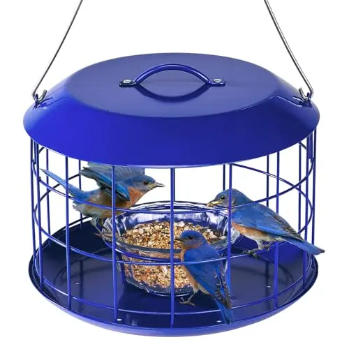 Kingsyard blue metal cage bird feeder with a glass bowl inside for mealworms