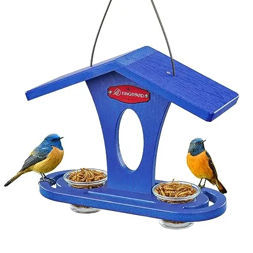 Kingsyard blue recycled plastic bluebird feeder with two clear glass dishes