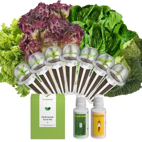 inbloom salad romaine lettuce seed pod kit with American fast, Parris island, and butter lettuce