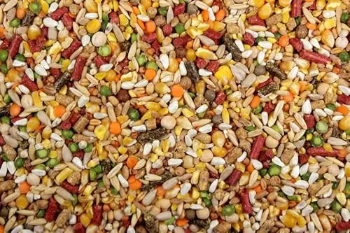 DelightFood whole grain chicken treat mix with cracked corn.