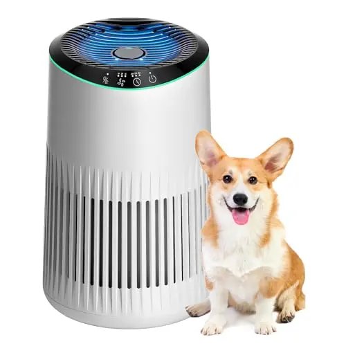 Morento MR2566 small air purifier with aromatherapy and blue ambient light
