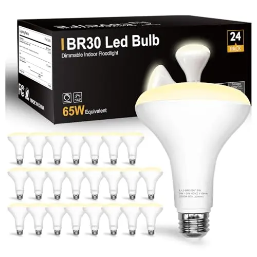 DAYBETTER BR30 LED light bulbs in a large 24-pack box